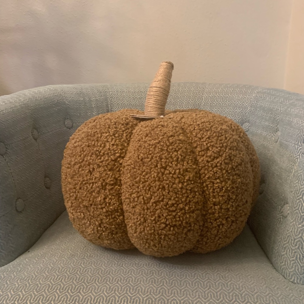 Pottery Barn Cozy Pumpkin Pillow NTW
